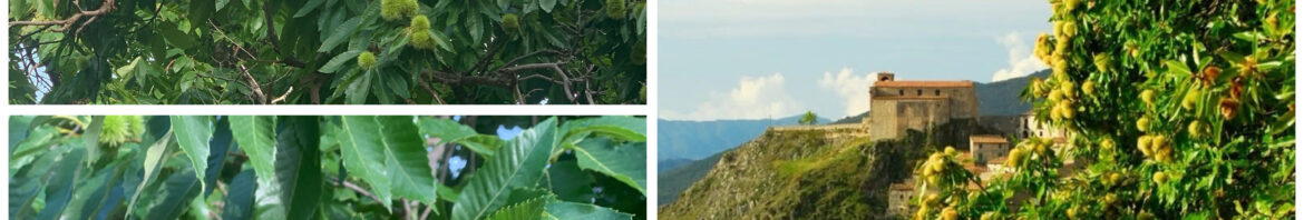 8411879A-398E-4B9A-B900-00D109AF642C