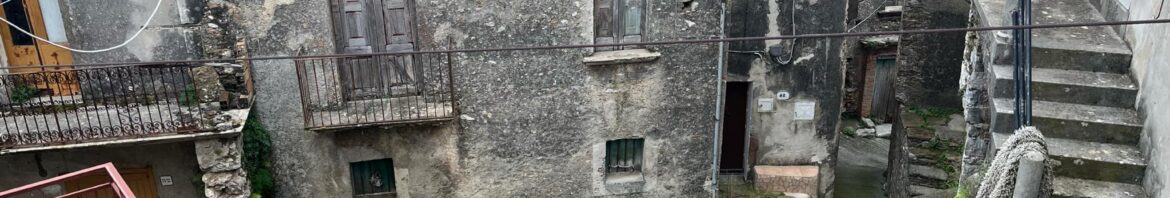 IMG_20250326_115619